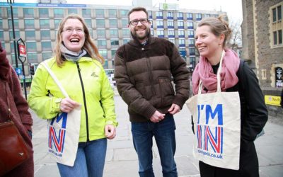 My Remain Campaign Experience