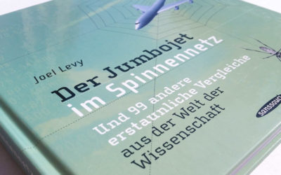 Der Jumbojet im Spinnennetz