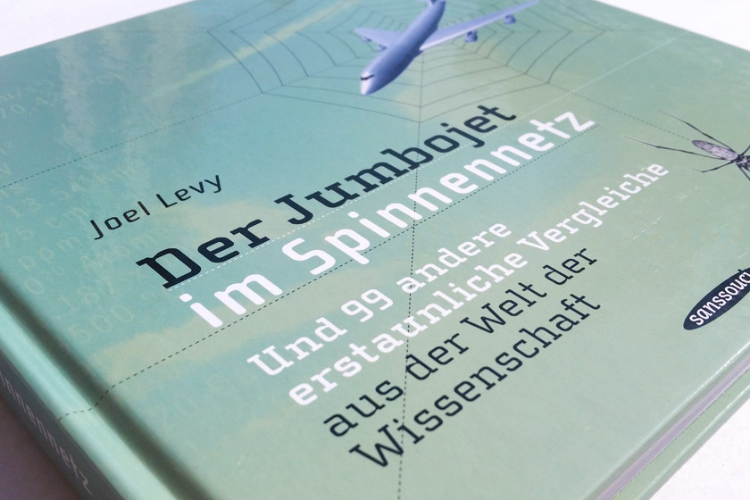 Der Jumbojet im Spinnennetz